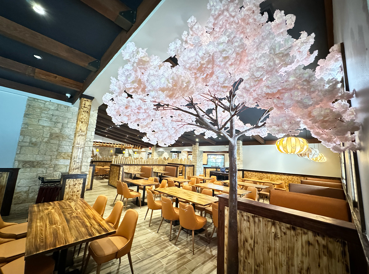 Sushi Masa Plano, TX